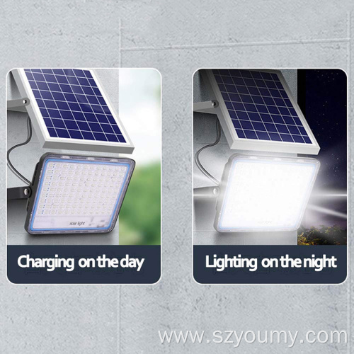 Solar Yard Flood Light